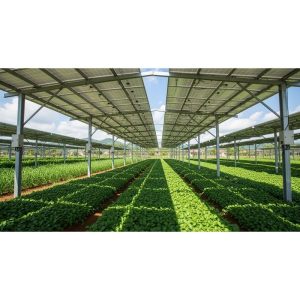 giới thiệu tổng quan điện mặt trời nông nghiệp